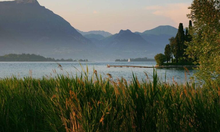 house guide heartomenal