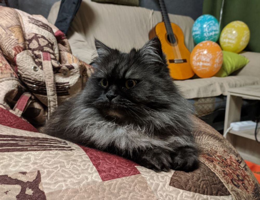 house renovation heartomenal