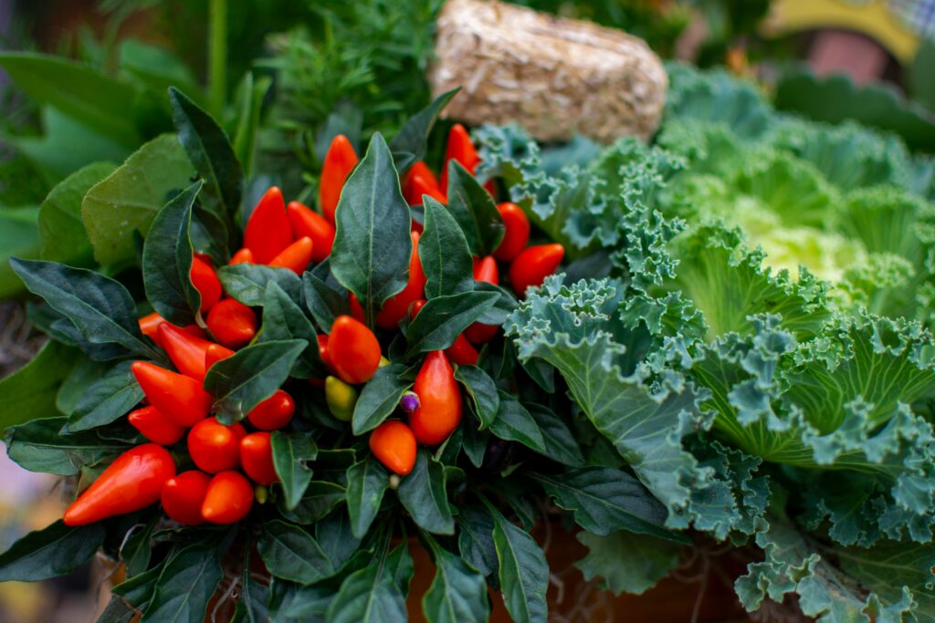 vegetables for small gardens