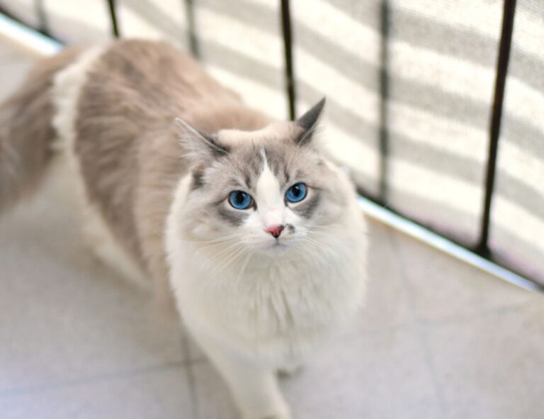 which home improvements pay off heartomenal