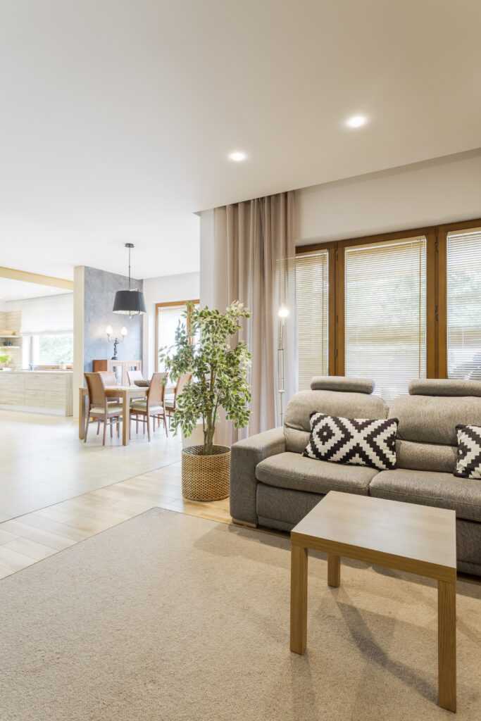 Light living room with the kitchen