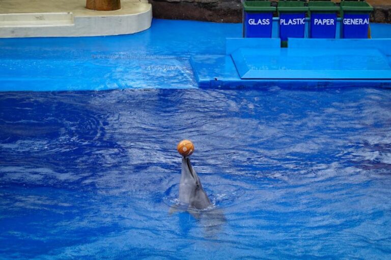 general home tricks mrshomegen