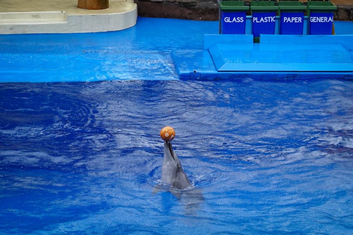 general home tricks mrshomegen