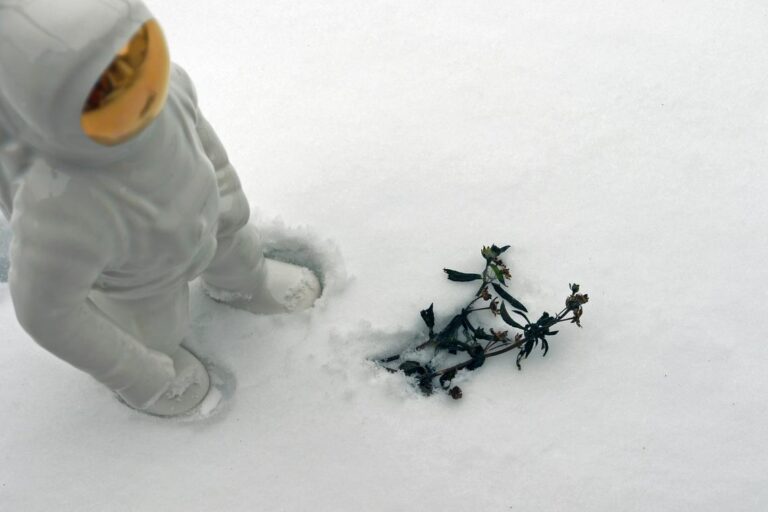 winter cleaning hacks mrshomegen