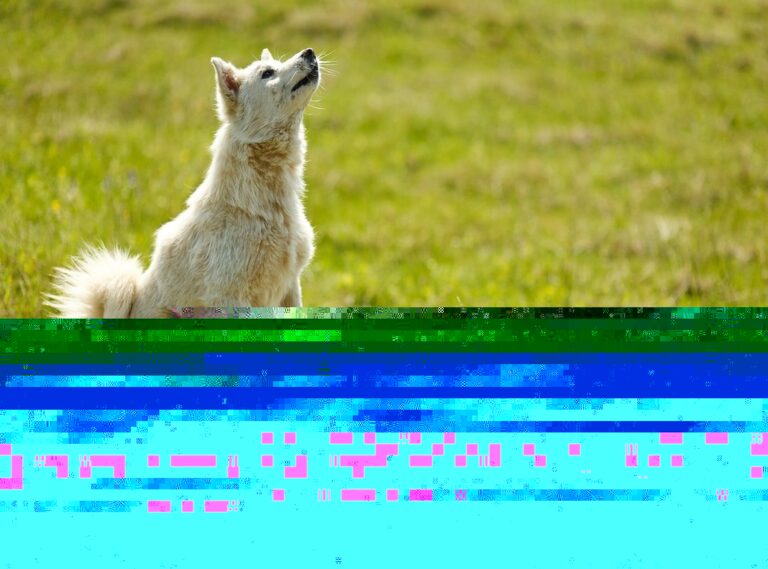 Home Tips and Tricks Heartomenal