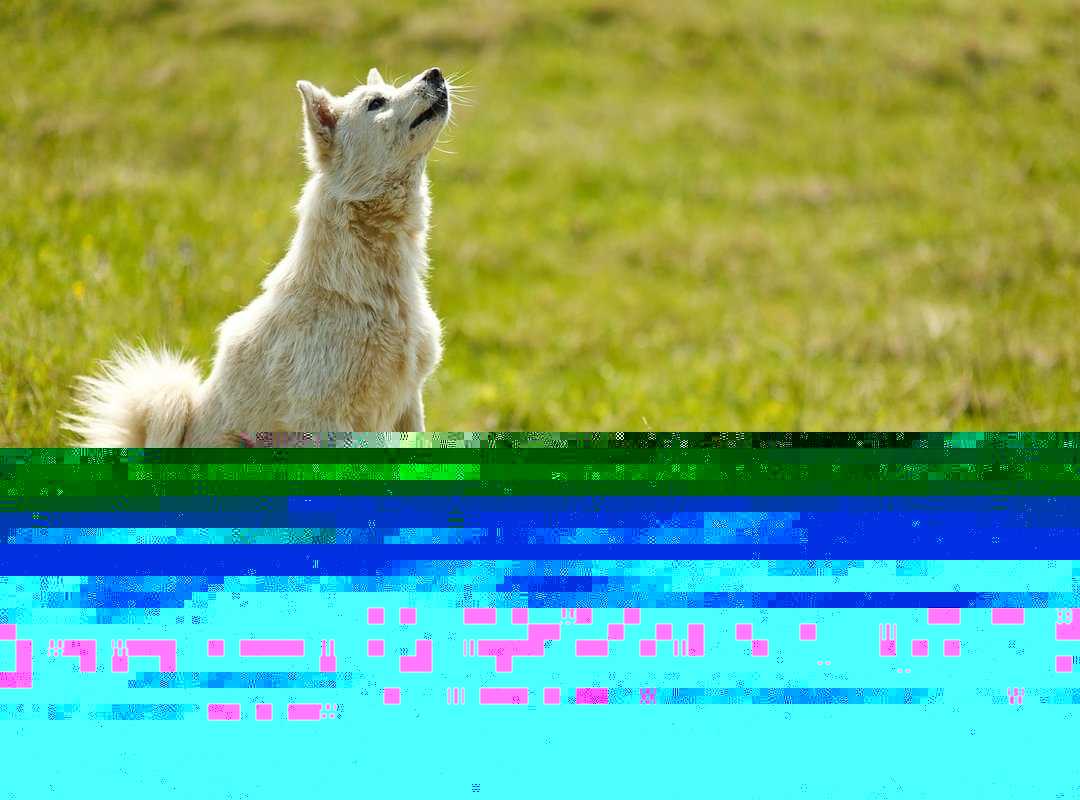 Home Tips and Tricks Heartomenal