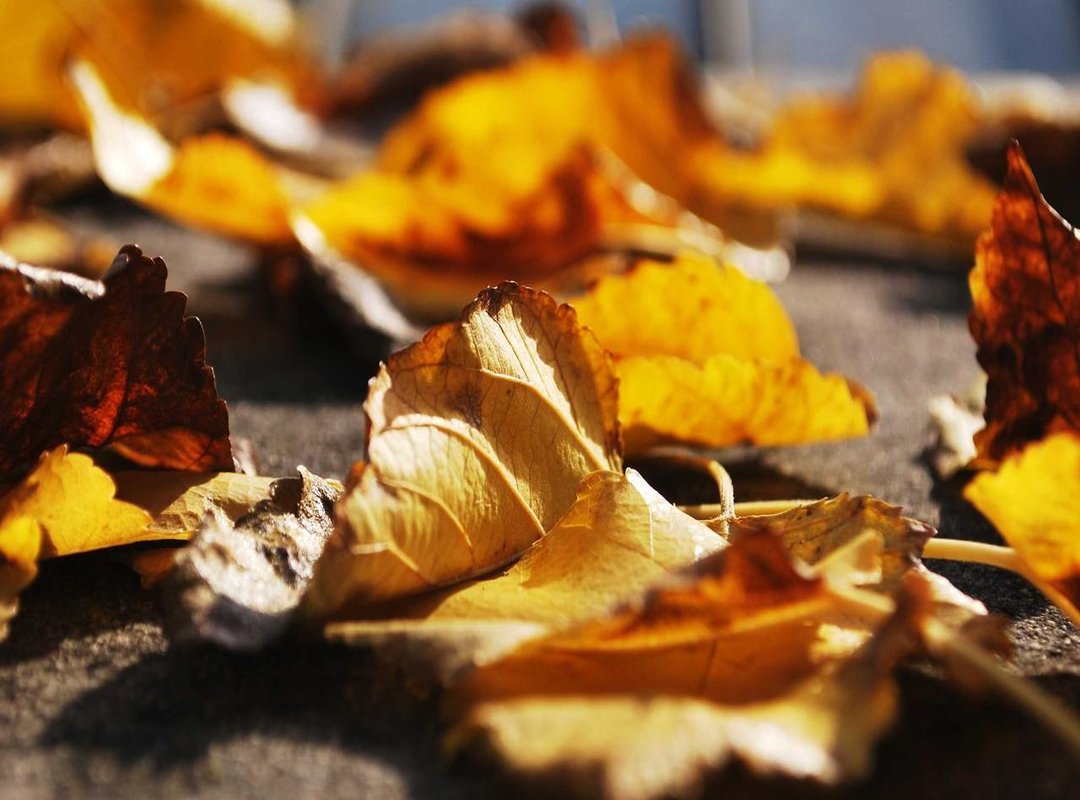 The Riyadh Thriller: An Unforgettable Second Leg