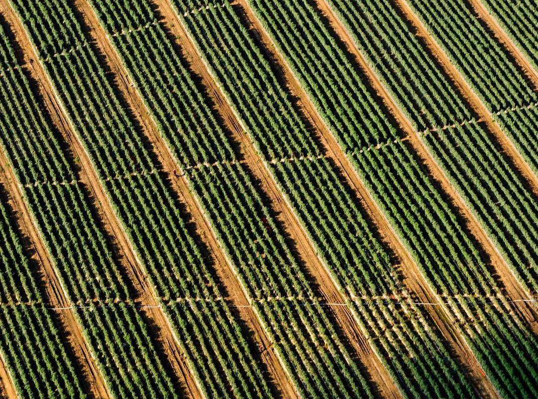 Navigating Fame: Leerdam's Public Image and Social Media Presence