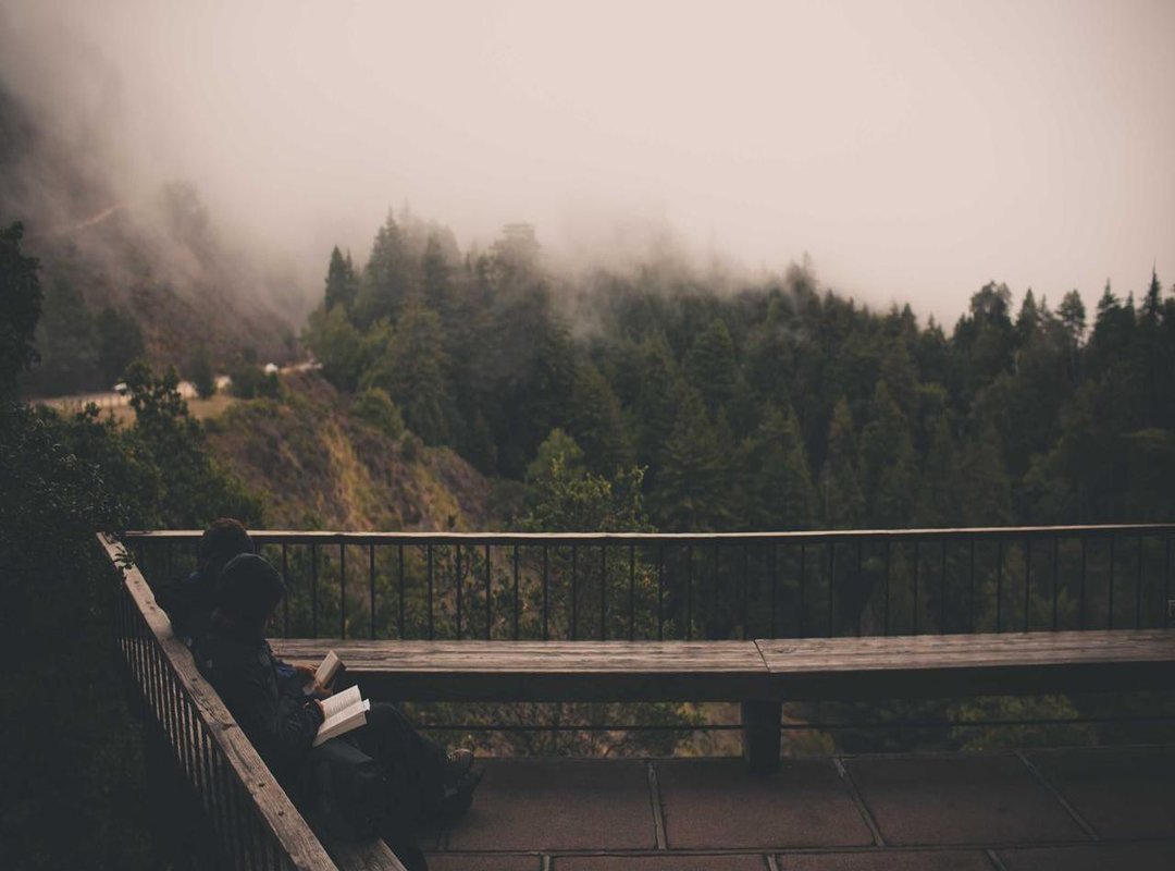 From Manes to Antlers: Clear Sex Differences in Mammals