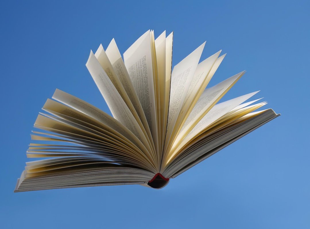 Where to Read the 'Mi Frio Ex Marido' Novel Online