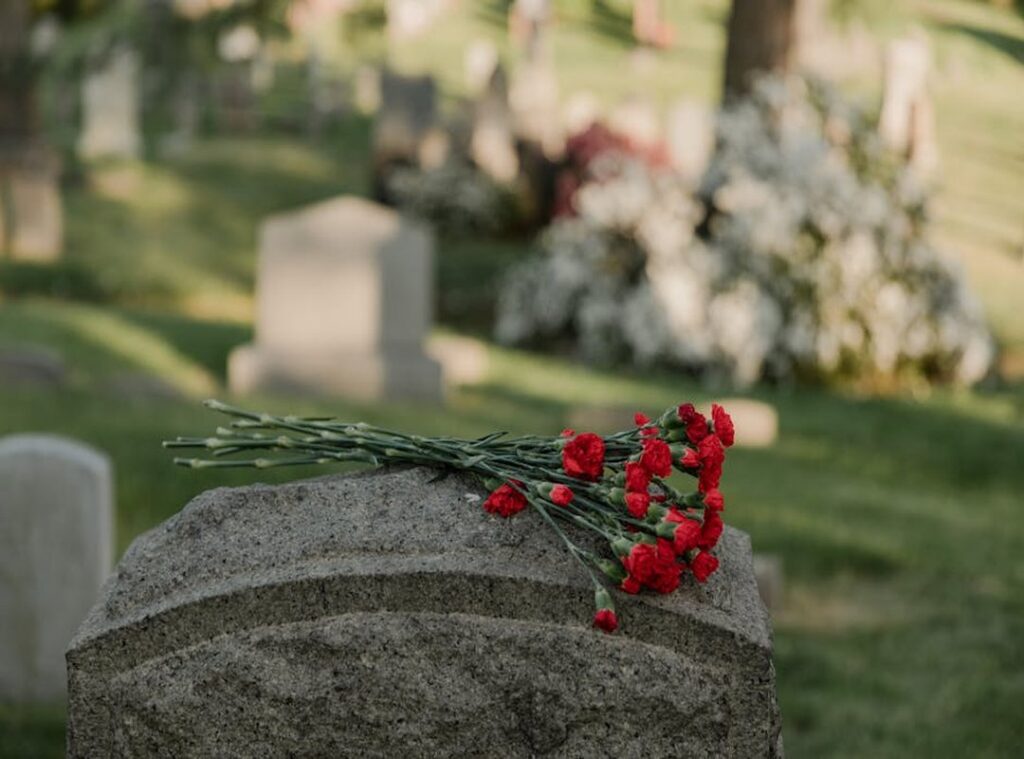 midwest death notices mayo today
