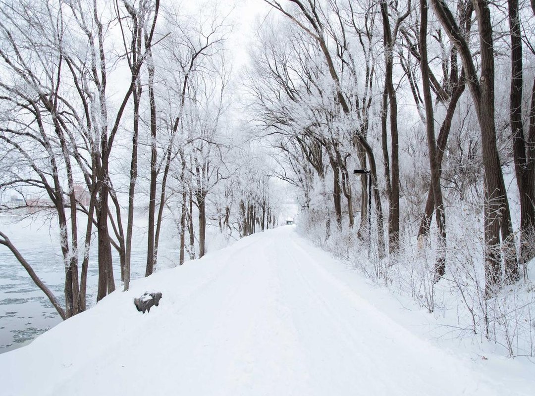 Fueling Your Muscles: The Role of Nutrition in Glute Growth