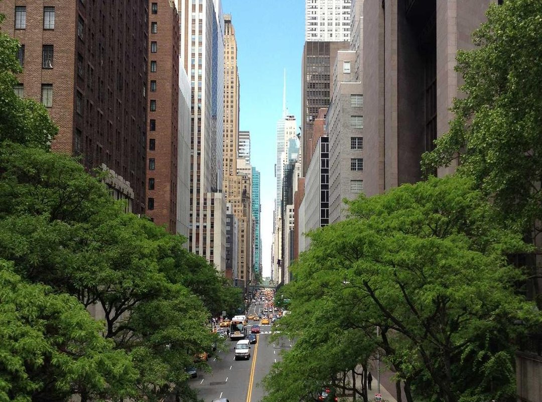 Official Sources vs. File-Sharing Sites: A Quick Comparison