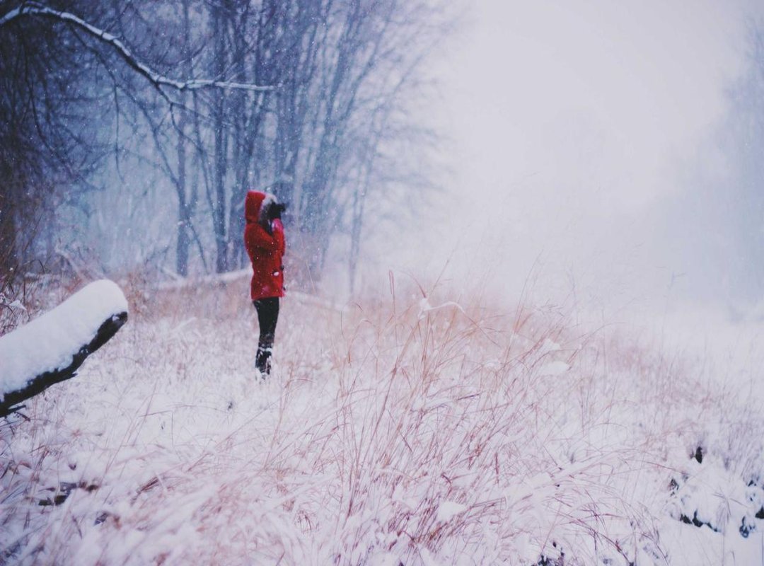 Beyond the Crime Lab: Other Notable Career Highlights