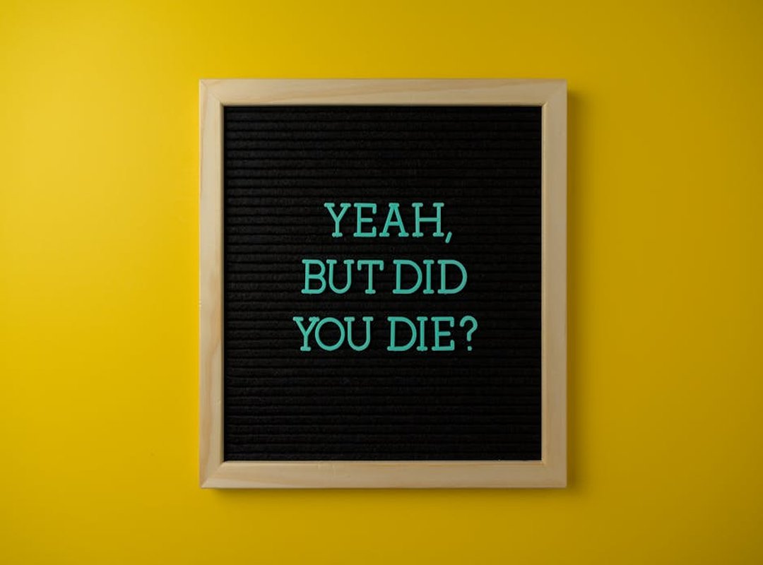 Fun Facts About Experiment 626 to Inspire You