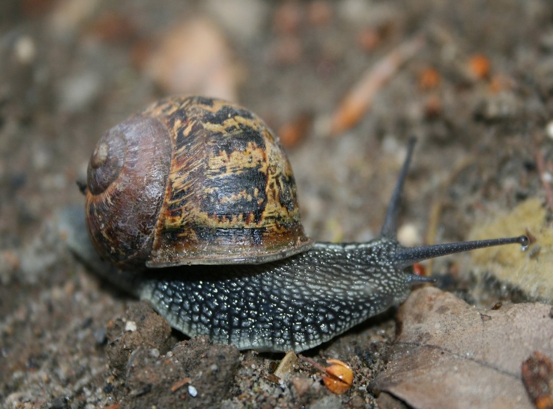 How to Get Started with TotalSportek Pro Today