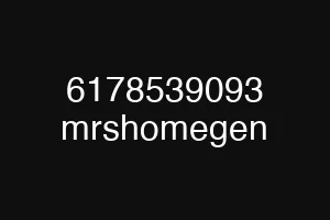 6178539093 mrshomegen